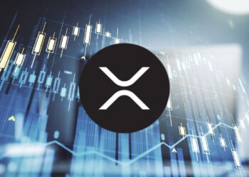 XRP's Critical Juncture: Will Whales Drive a Q4 Breakout?