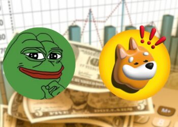 $5K Meme Coin Dilemma: BONK or PEPE?