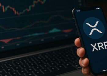XRP Price Holds Steady at $3.00 as Whales Scoop Up Over 130M Tokens