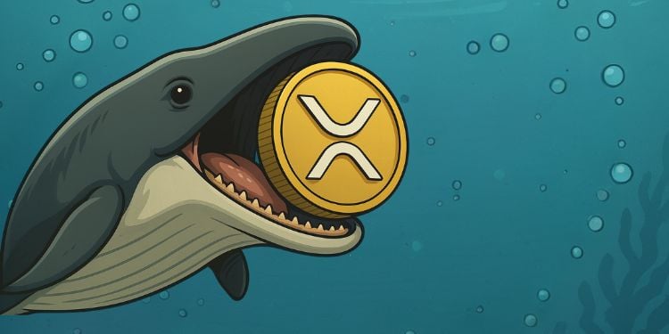 Whales Scoop 130M XRP as Price Holds Steady Near $3