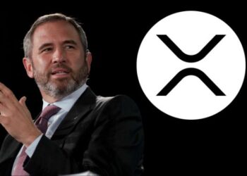 XRP Hits $3.65 Before a Brutal 15% Crash – What’s Next?