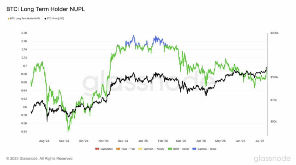 Bitcoin Btc Long Term Holder Nupl
