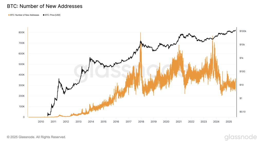 Bitcoin Btc Number of New Addresses
