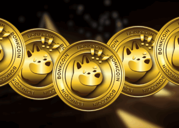 Bonk Defies the Trend While Crypto Market Loses Momentum