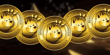 Bonk Defies the Trend While Crypto Market Loses Momentum