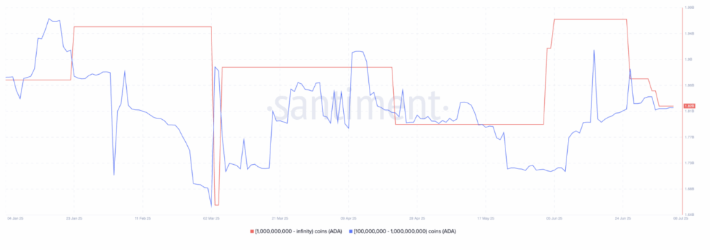 Cardano Ada Supply Distribution