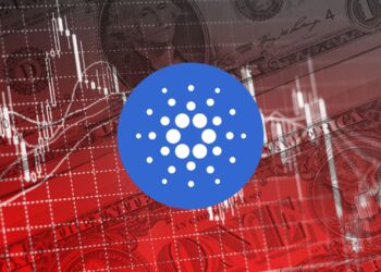 Cardano Slips Again, But Whales Are Still Buying the Dip