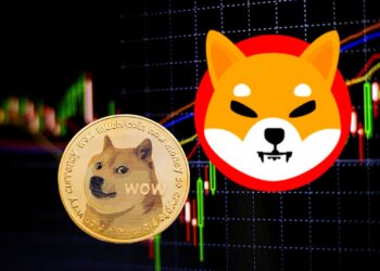 Could Shiba Inu Outpace Dogecoin in the Next Cycle?
