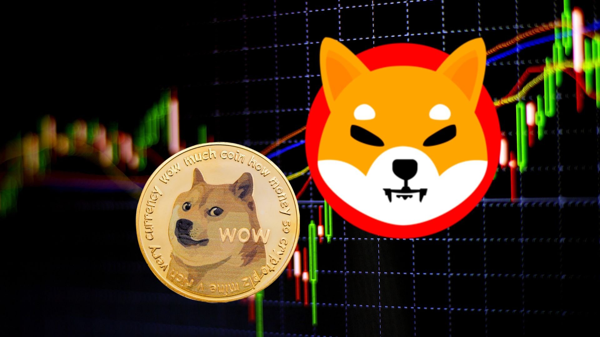 Could Shiba Inu Outpace Dogecoin in the Next Cycle?