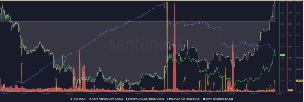 Dogecoin Doge on Chain Data