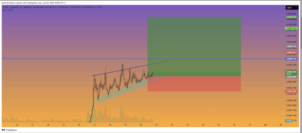 Floki Floki Price Analysis