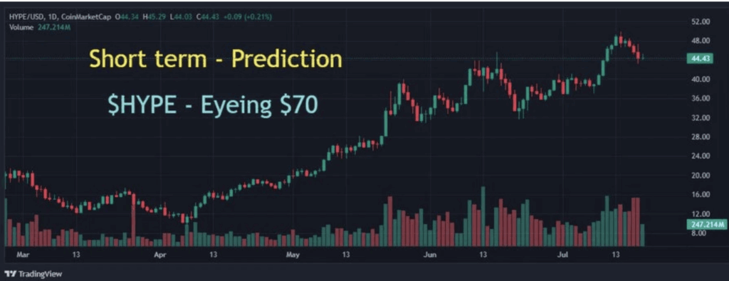 Hyperliquid Hype Price Prediction