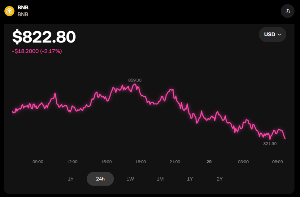 BNB Hits All-Time Excessive as U.S. Corporations Pile In With Crypto Treasury Methods ‣ BlockNews