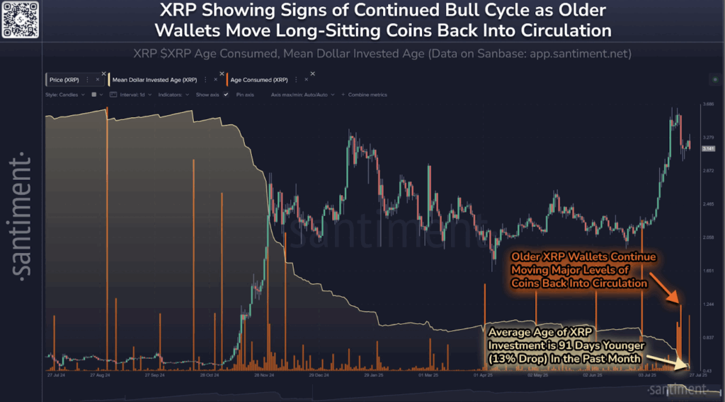 Ripple Xrp Old Wallet Movement