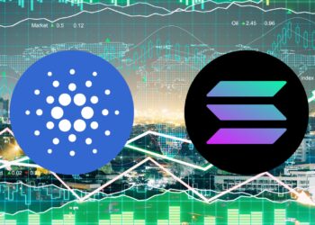 Solana or Cardano? Only One's Hitting the Gas—The Other’s Still in Neutral