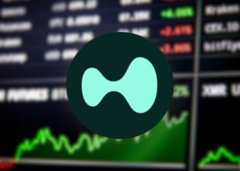 Whale Wallet Grabs $1M in HYPE as Market Sentiment Crashes