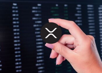 XRP Community Member Says: “Do Absolutely Nothing Until 2030”