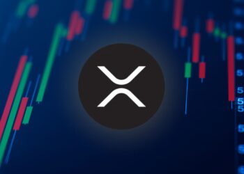 XRP Slumps After Heavy Sell-Off—But Whales Keep Scooping It Up