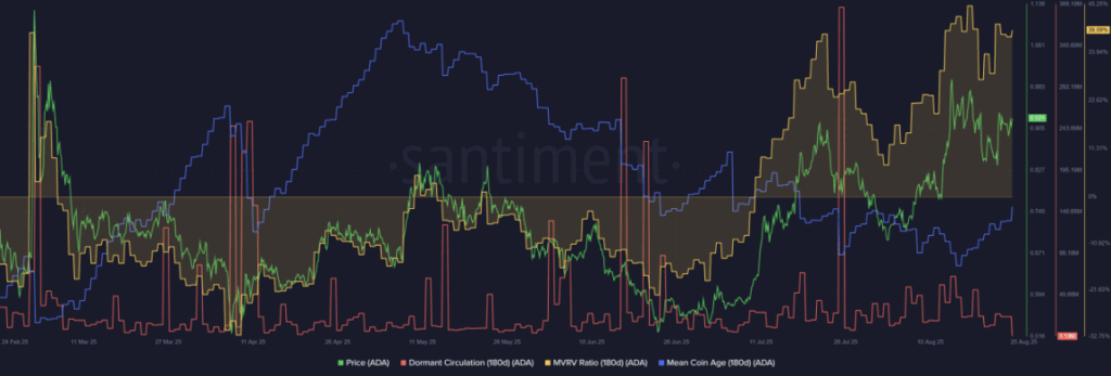 Cardano Mvrv and Mean Coin Age