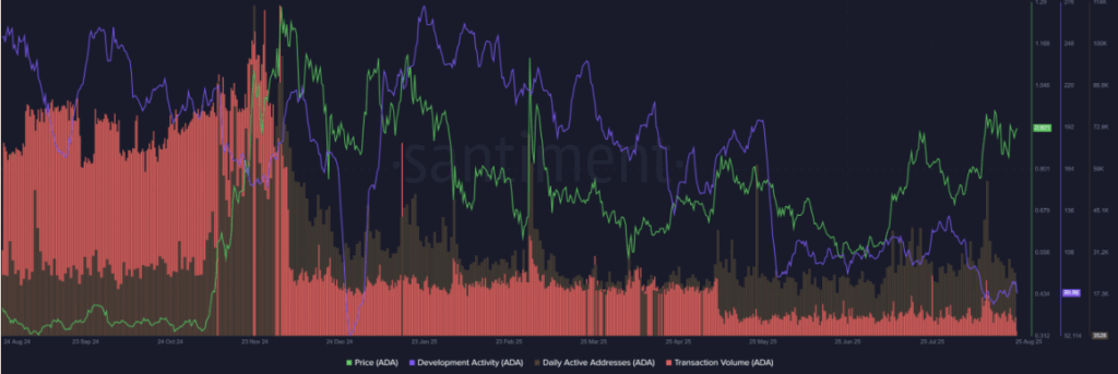 Cardano Price Daily Active Wallet and Transactions