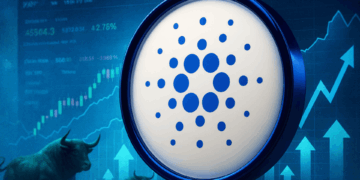 Cardano Whale Activity Spikes but Mutuum Finance Steals the Defi Spotlight
