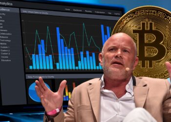 Crypto Treasury Boom Might Have Hit Its Ceiling, Says Galaxy’s Mike Novogratz