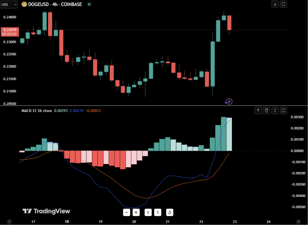Dogecoin Doge Price Chart