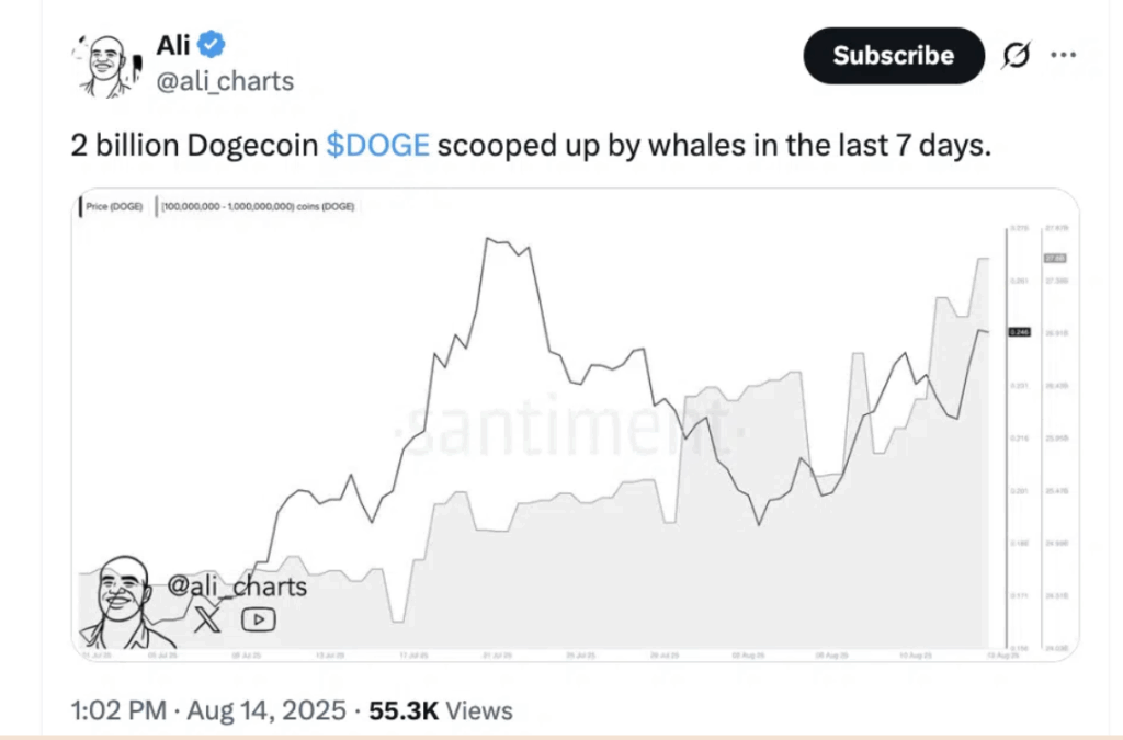 Dogecoin Doge Whale 