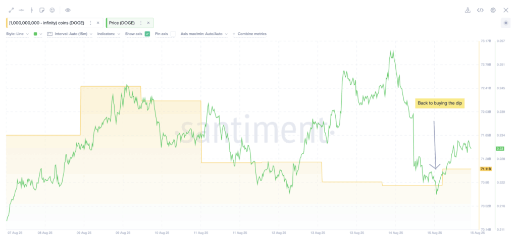 Dogecoin Whales Sign Confidence as Value Checks Key Ranges ‣ BlockNews
