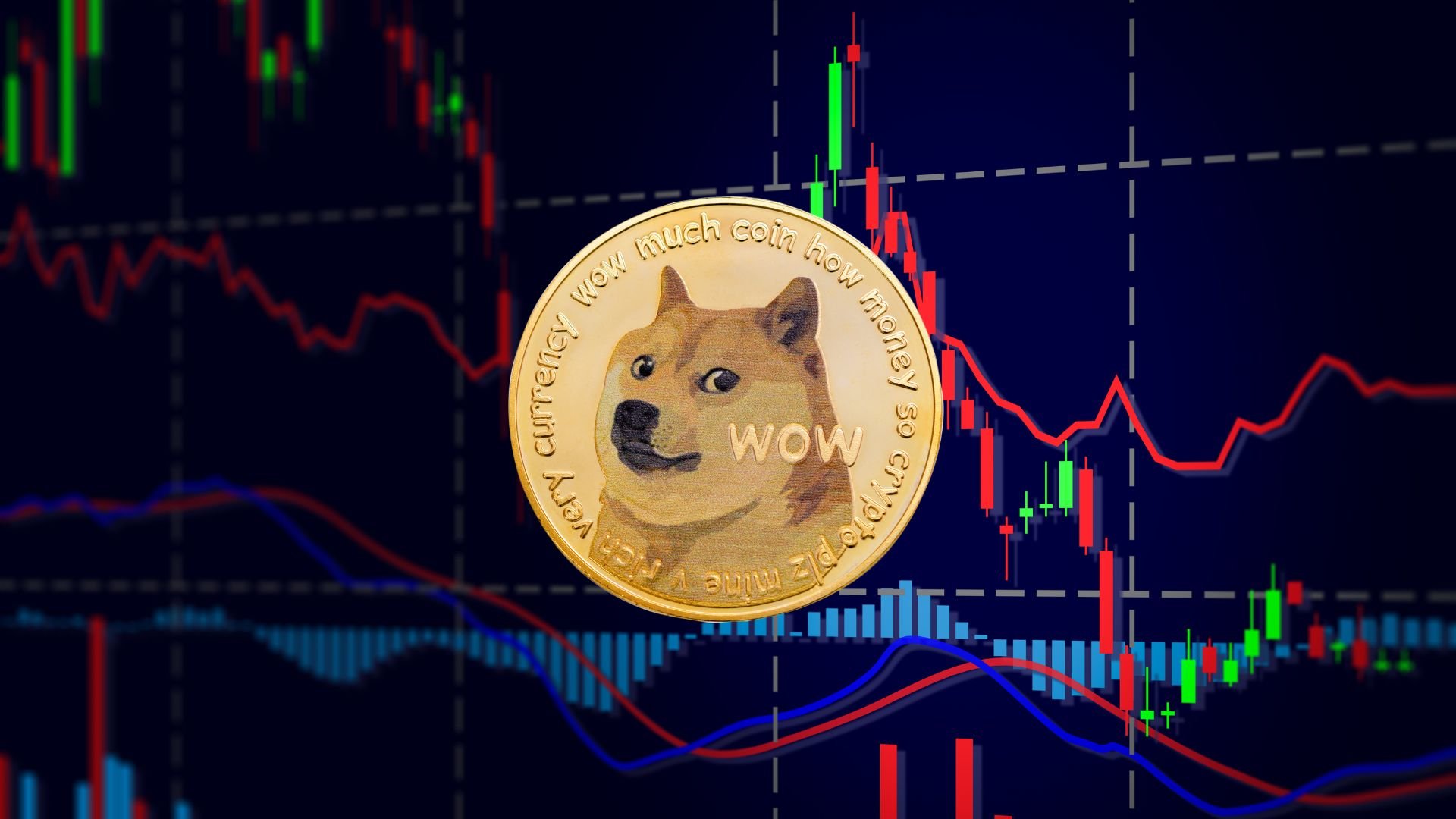 Dogecoin Drops, But Bulls Might Not Be Done Yet