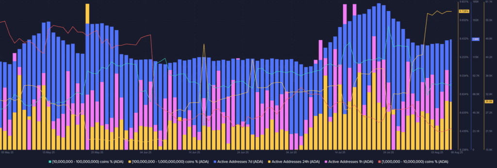 Cardano Ada Price Analysis