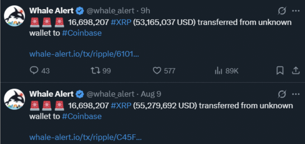 Xrp Whale Transfer