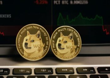 Dogecoin Holds $0.22 Support as Whales Accumulate – Could This Be the Last Dip Before a Push Toward $1?