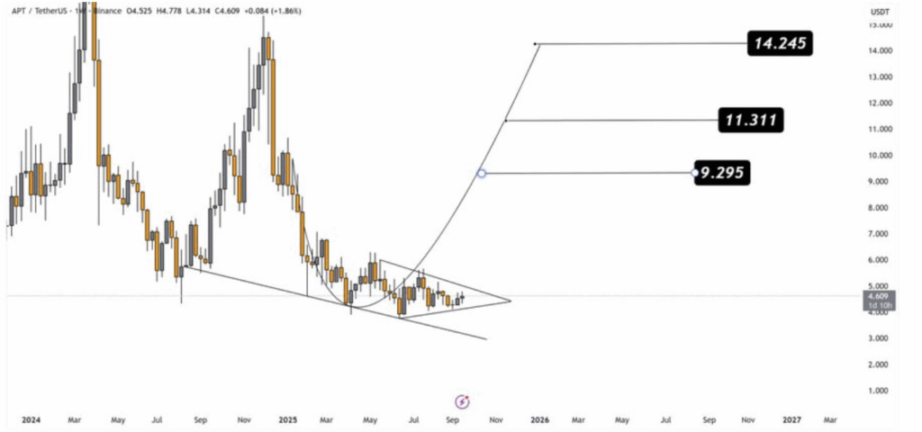 Is Aptos Prepared for a Rally? Key Ranges Merchants Ought to Watch – BlockNews