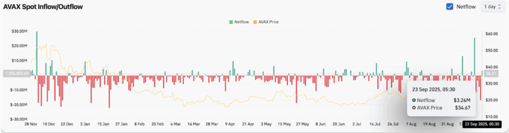 Avax Netflow