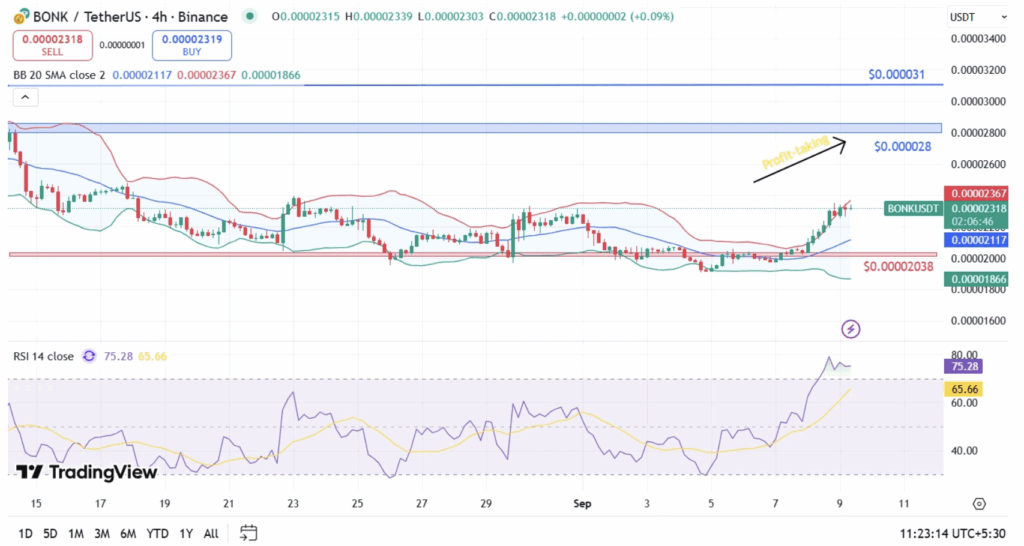 Bonkusdt Price Analysis