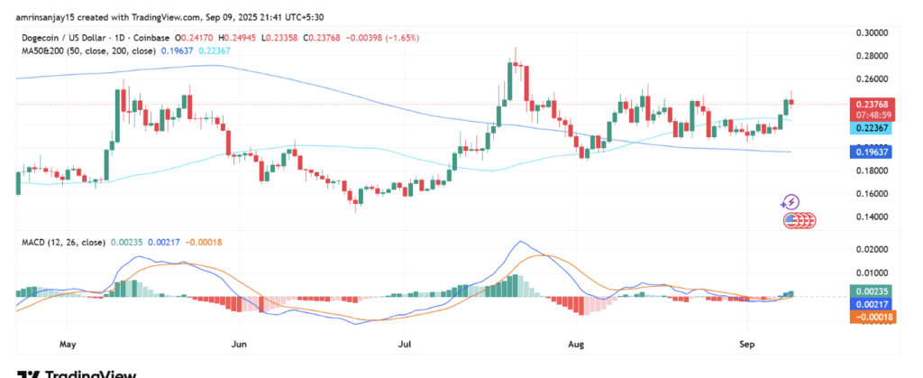 Dogeusdt Price Chart
