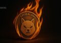 Shiba Inu Burn Rate Soars 222%, But Price Doesn’t Budge