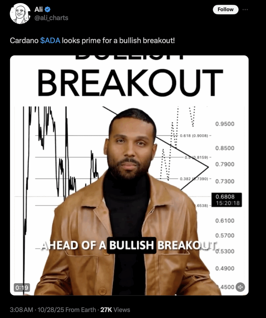 Ali Cardano Analysis