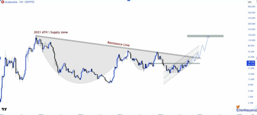 Avax Cup and Handle