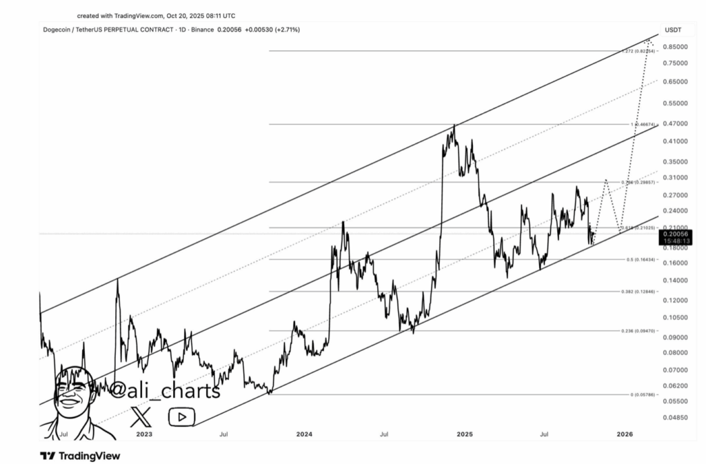 Doge Chart