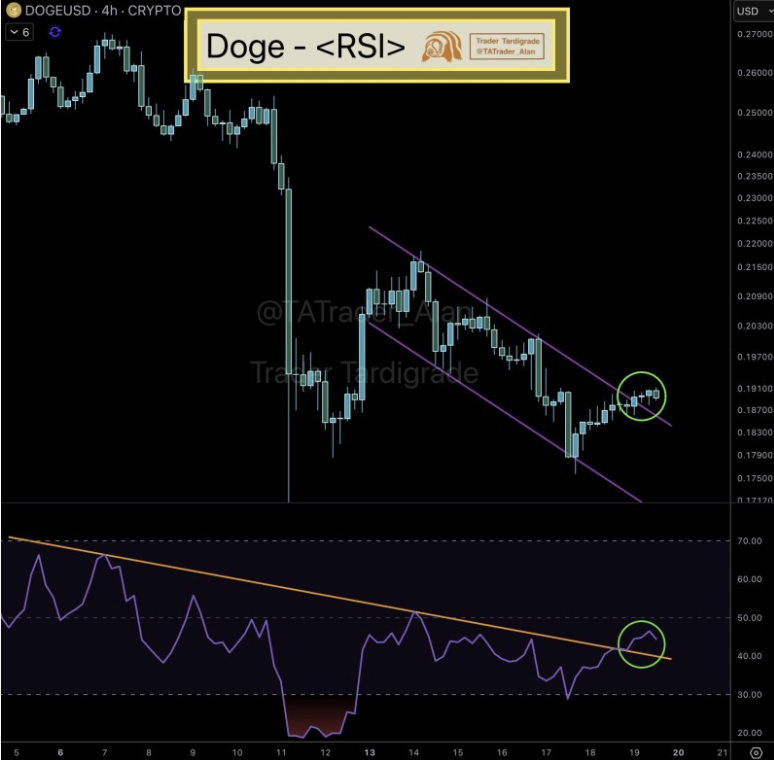 Dogeusd