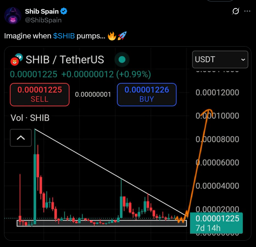 Shiba Inus Big Comeback Why Shib Might Be the Sleeper Pick of 2025 Here is What Smart Traders Are Watching