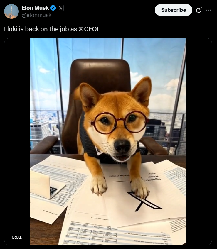 Elon Musks Floki Post Sends Memecoin Soaring 29 Here is Why It Matters