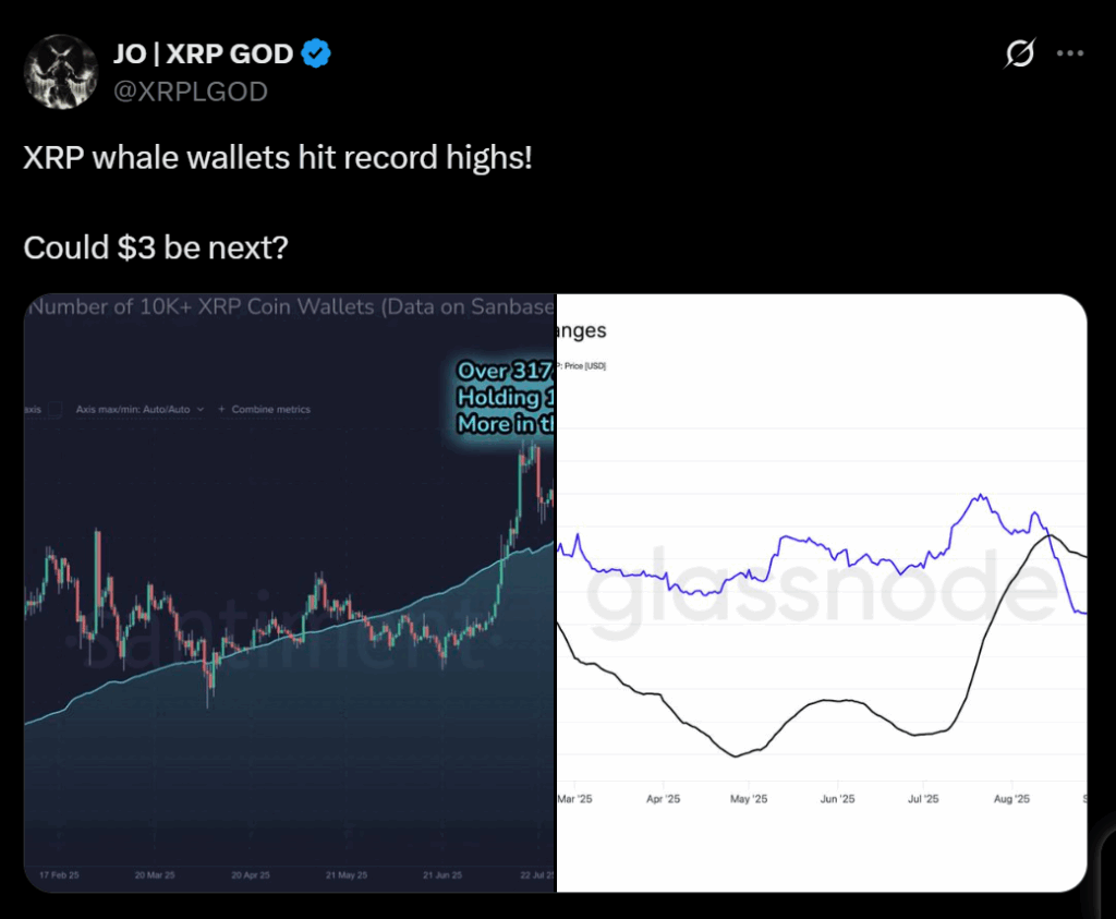 Xrp Aims for As Whale Wallets Hit Record Highs Heres Why Traders Are Getting Excited