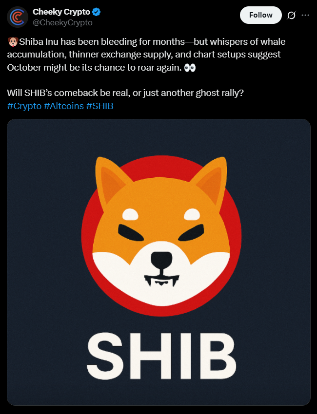 Shiba Inu Holders Decline for the First Time in 2 Years Here is Why Shibs Hype is Fading