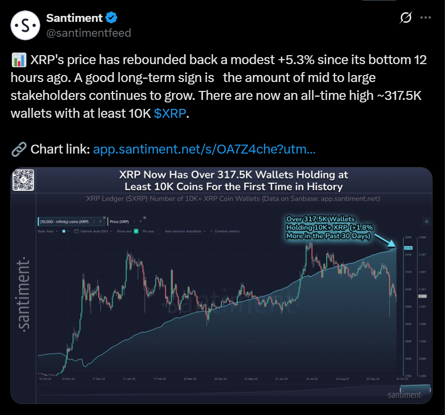 Xrp Aims for As Whale Wallets Hit Record Highs Heres Why Traders Are Getting Excited