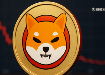 Shiba Inu Holders Decline for the First Time in 2 Years Here is Why Shibs Hype is Fading