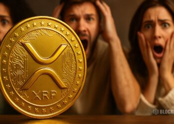 XRP Holder Psychology: Why Vincent Van Code Says Conviction Beats Strategy