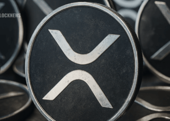 Xrp Price Forecast 2025 Should You Hold or Sell Experts Weigh in